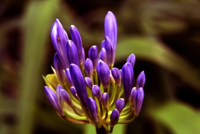 赛事的全国 赛事的全国