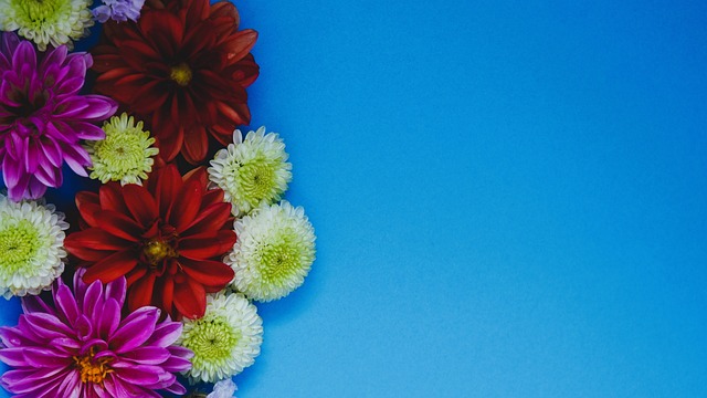 克洛普的带 克洛普的带