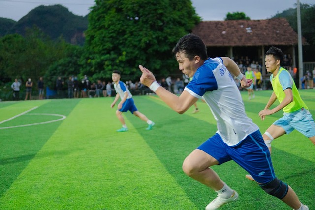 这些壮观的 这些壮观的