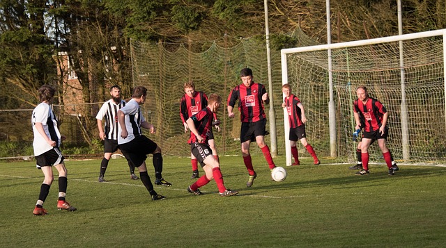 观众群体 观众群体