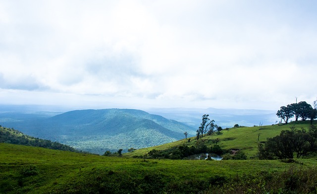 重塑自己 重塑自己