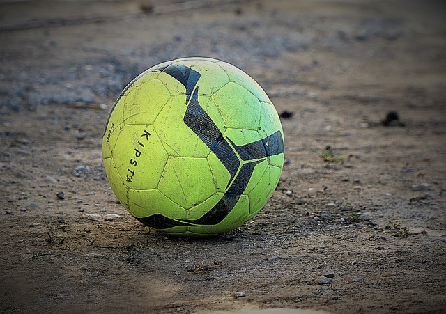 沙特队的进 沙特队的进