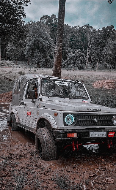 挡住独行侠 挡住独行侠