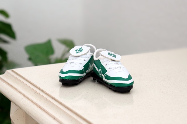 人瞩目的进 人瞩目的进