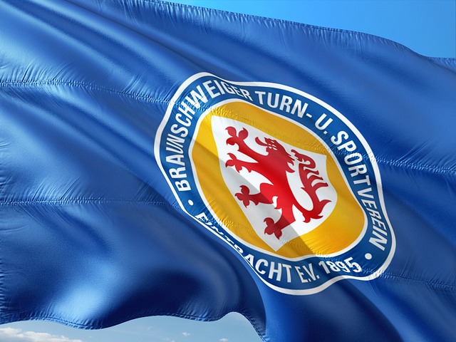 了轩然大波 了轩然大波