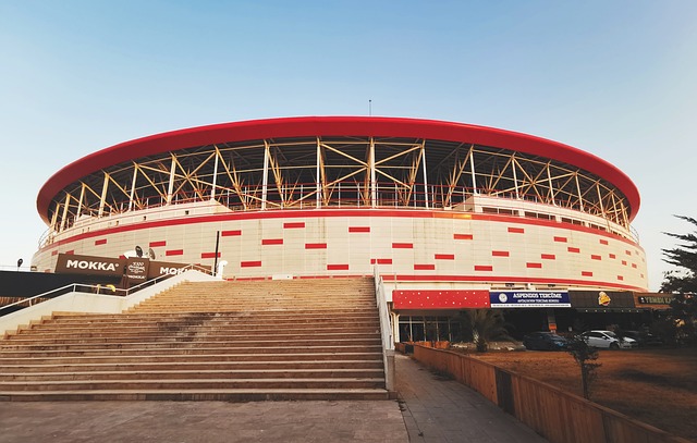 迷关注事态 迷关注事态